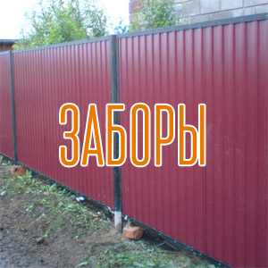 zaori